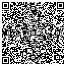 QR code with Premier Logic LLC contacts