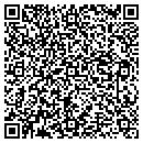 QR code with Central Dry Ice Inc contacts