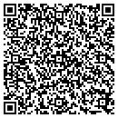 QR code with Public Storage contacts