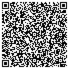 QR code with Blue Ridge Electric Co contacts