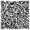 QR code with Cobra Sweeping System contacts