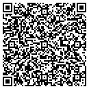 QR code with Pro Nurse Inc contacts