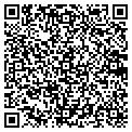 QR code with Shell contacts