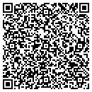QR code with Capstone Engineering contacts