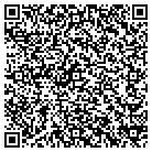 QR code with Pulaski Professional Bldg contacts