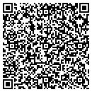 QR code with Pulau Electronics contacts