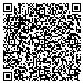 QR code with Cigna contacts