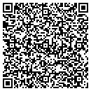 QR code with City Chemicals Inc contacts