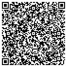 QR code with Professional Auto Stereo contacts