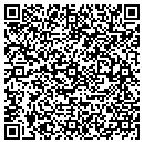 QR code with Practical Arts contacts