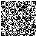 QR code with Ballys contacts