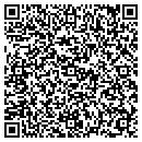 QR code with Premiere Video contacts