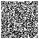 QR code with Big Lake Taxidermy contacts