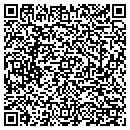 QR code with Color Dynamics Inc contacts