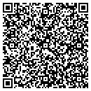QR code with Pwi Real Estate Inc contacts