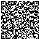 QR code with Professional Internet contacts