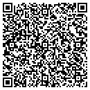 QR code with Punchbowl Holy Ghost contacts