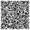 QR code with Counseling Clinic Inc contacts