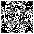 QR code with Punahou Cliffs contacts