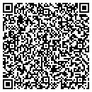 QR code with Big Island Car Doctor contacts