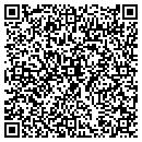 QR code with Pub Jankenpon contacts