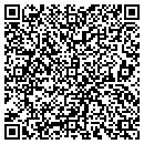 QR code with Blu Eel Pool & Spa Inc contacts