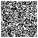 QR code with Punakai Properties contacts
