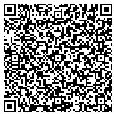 QR code with Premier Granite contacts