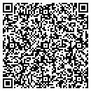 QR code with Premier USA contacts