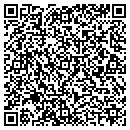 QR code with Badger Public Library contacts
