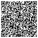 QR code with Pyramid Properties contacts