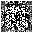 QR code with Carl S Sybesma contacts