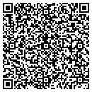QR code with Pulaski Lumber contacts