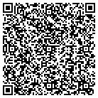 QR code with Blimpie Subs & Salads contacts