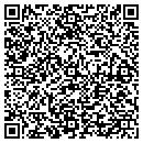 QR code with Pulaski Ambulance Service contacts