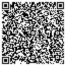 QR code with Cave City Auto Parts contacts