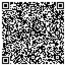 QR code with Cyclone Drive-In contacts
