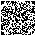 QR code with Studio contacts
