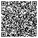 QR code with Bashor contacts