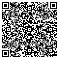 QR code with Vector contacts