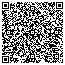 QR code with Professional Storage contacts
