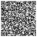 QR code with Ppme Local 2003 Iu Pat contacts