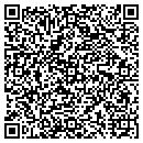 QR code with Process Dynamics contacts