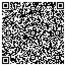 QR code with Python Light & Sound contacts