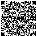 QR code with Carl's Window Service contacts