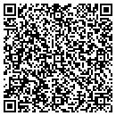 QR code with Carol A Oglesby CPA contacts