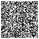QR code with Professional Chemists contacts