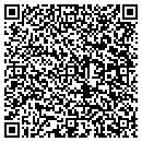 QR code with Blazek Electric Inc contacts