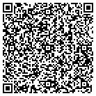QR code with Public Safety Department contacts