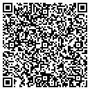 QR code with Precious Pieces contacts